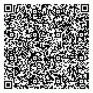 vCard 79813400385