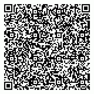 vCard 79813400391