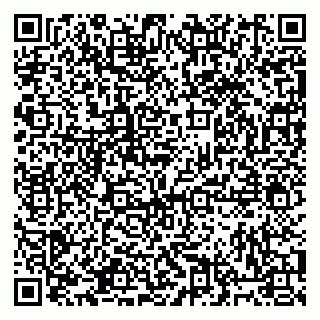 vCard 79813400394
