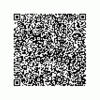 vCard 79814500381