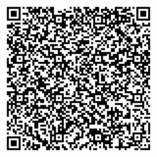 vCard 79815002209