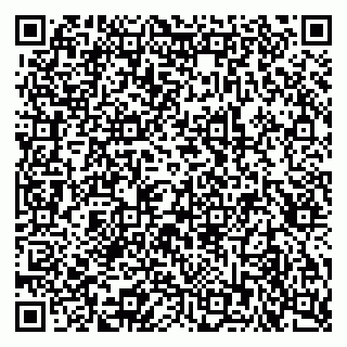 vCard 79815002531