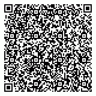 vCard 79815002911