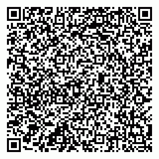 vCard 79815002913