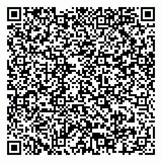 vCard 79815002928
