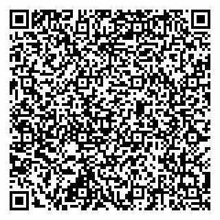 vCard 79815002931