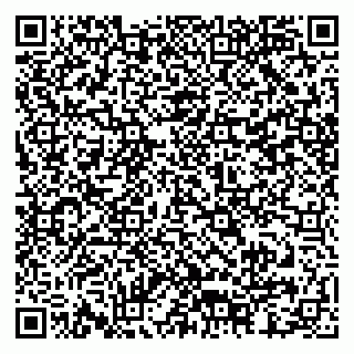 vCard 79815002940