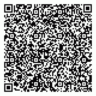 vCard 79815002941
