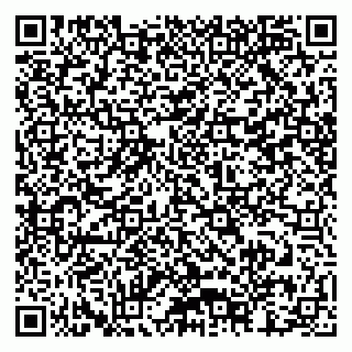 vCard 79815002987