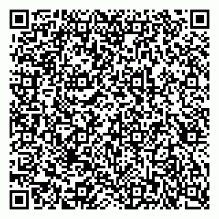 vCard 79815003732