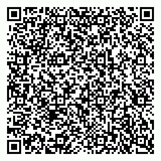 vCard 79815003733