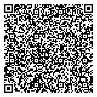 vCard 79815003831