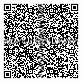 vCard 79815004351