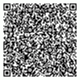 vCard 79815005275