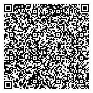 vCard 79815005513