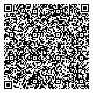 vCard 79815006382