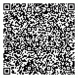 vCard 79815009587