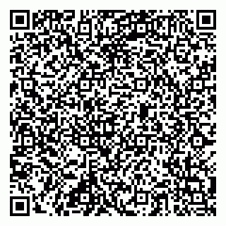 vCard 79815013087