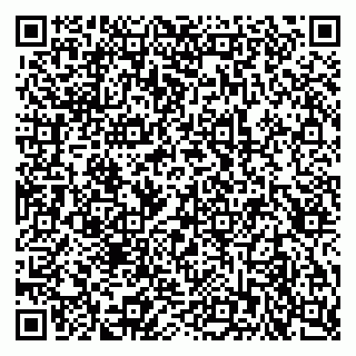 vCard 79815013131