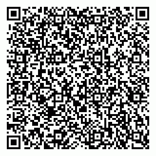 vCard 79815013203