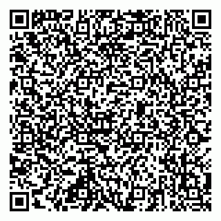 vCard 79815013733