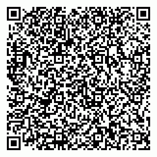 vCard 79816000131