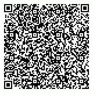 vCard 79816000307