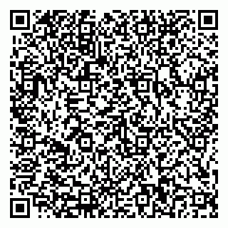 vCard 79816000331