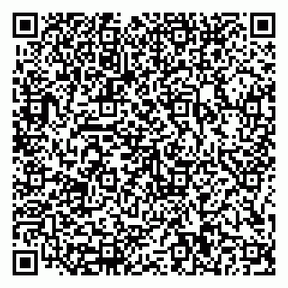 vCard 79816000333