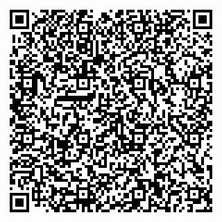 vCard 79816000621