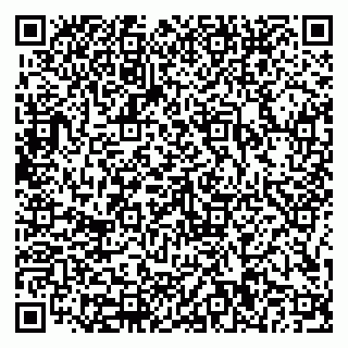 vCard 79816000733