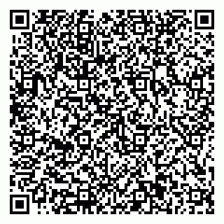 vCard 79816001027