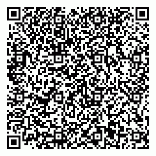 vCard 79816001029