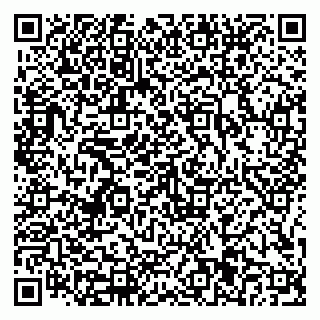 vCard 79816001311