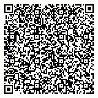 vCard 79816001317
