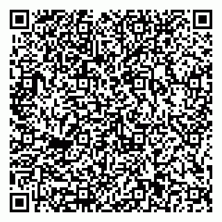 vCard 79816001351