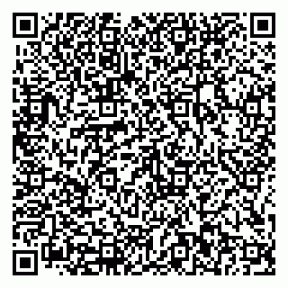 vCard 79816002931