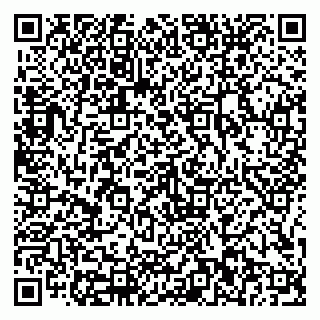 vCard 79816002951