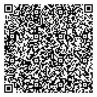 vCard 79816003131