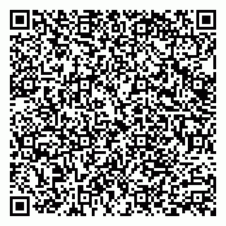 vCard 79816004131