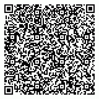 vCard 79816004609