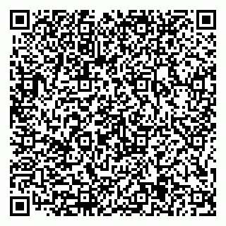 vCard 79816005104