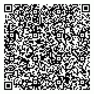 vCard 79816005133