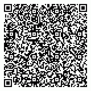vCard 79816006331