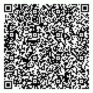 vCard 79816199613