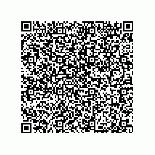 vCard 79818700331