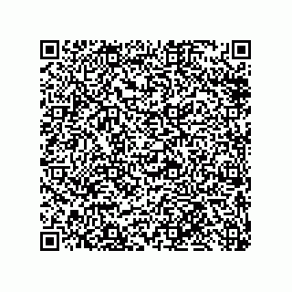 vCard 79819958381
