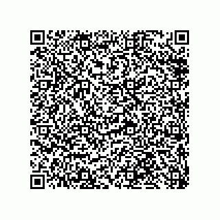 vCard 79819958388