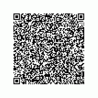 vCard 79819958528