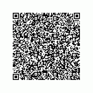 vCard 79819958700